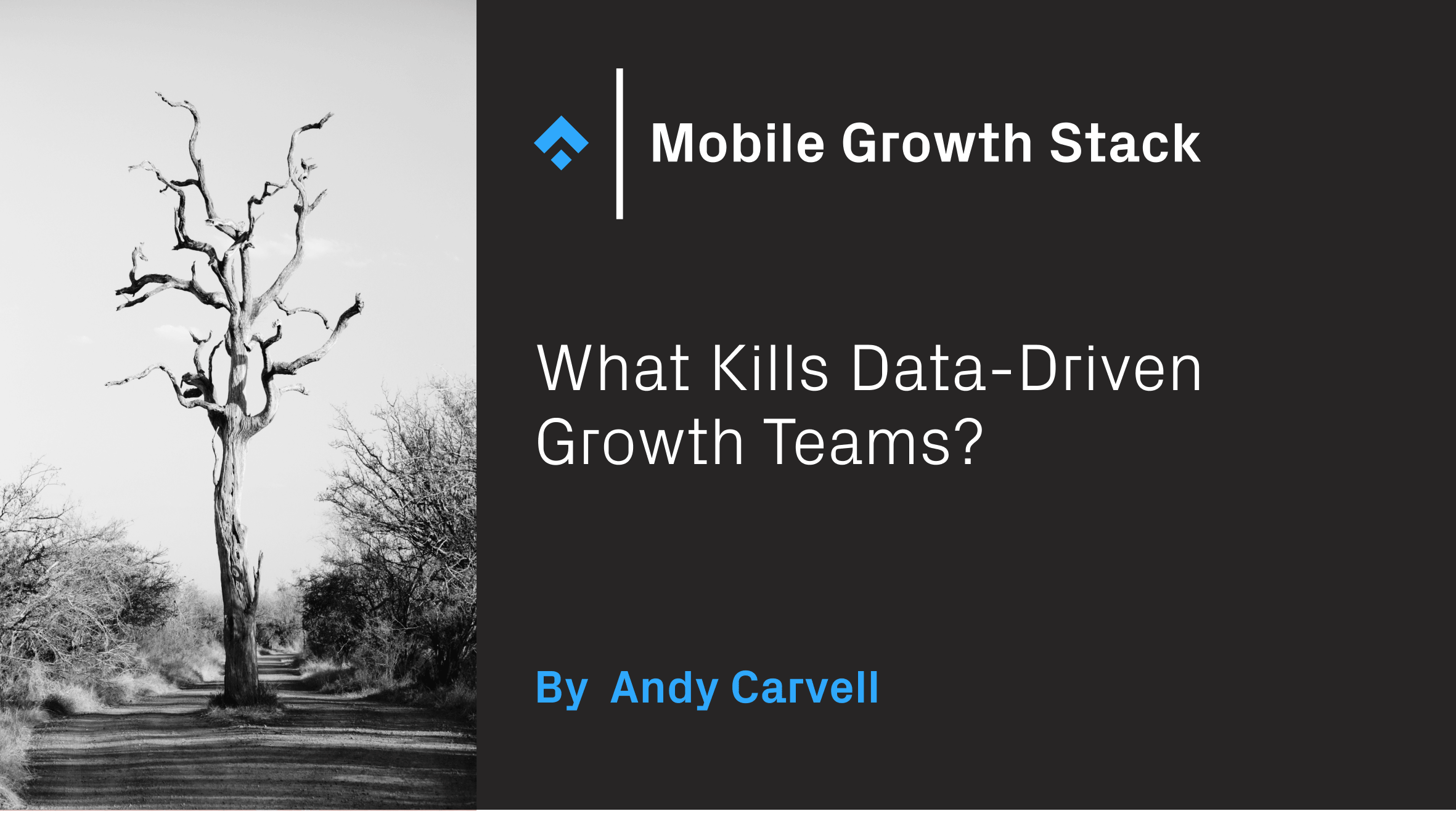 What Kills Data-Driven Growth Teams? by Andy Carvell